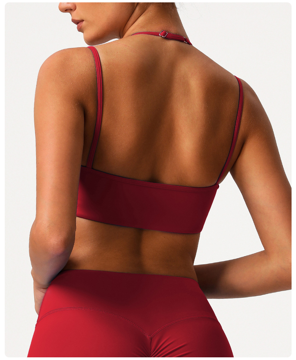 Double-layer Style Halter-neck Back Gym Fitness Yoga Bra Fitness Adjustable Yoga Sports Bra FGBSM9000