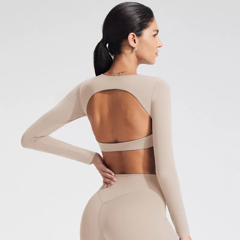 Back Hollow Breathable Yoga Wear Long Sleeve Spandex/Nylon Skinny Fit Running Training Fitness Sportswear TopFGBYT1363
