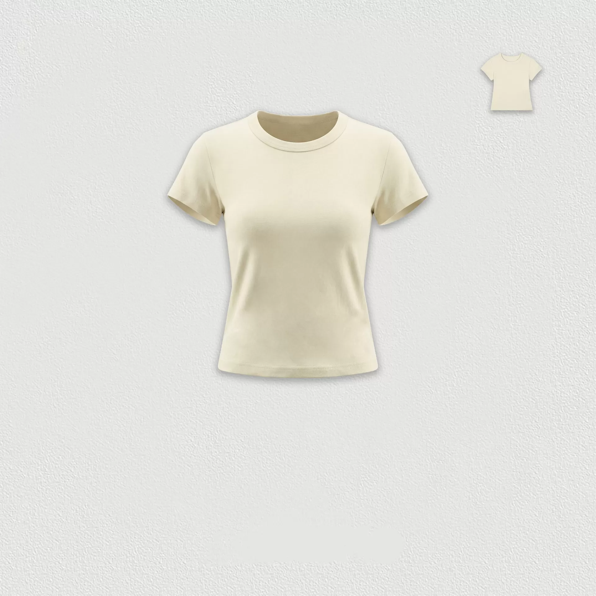 Women Clothing Sets 2 Piece Set Casual Fit Short Sleeve T-shirt and Shorts for Women FGB26026#36035#